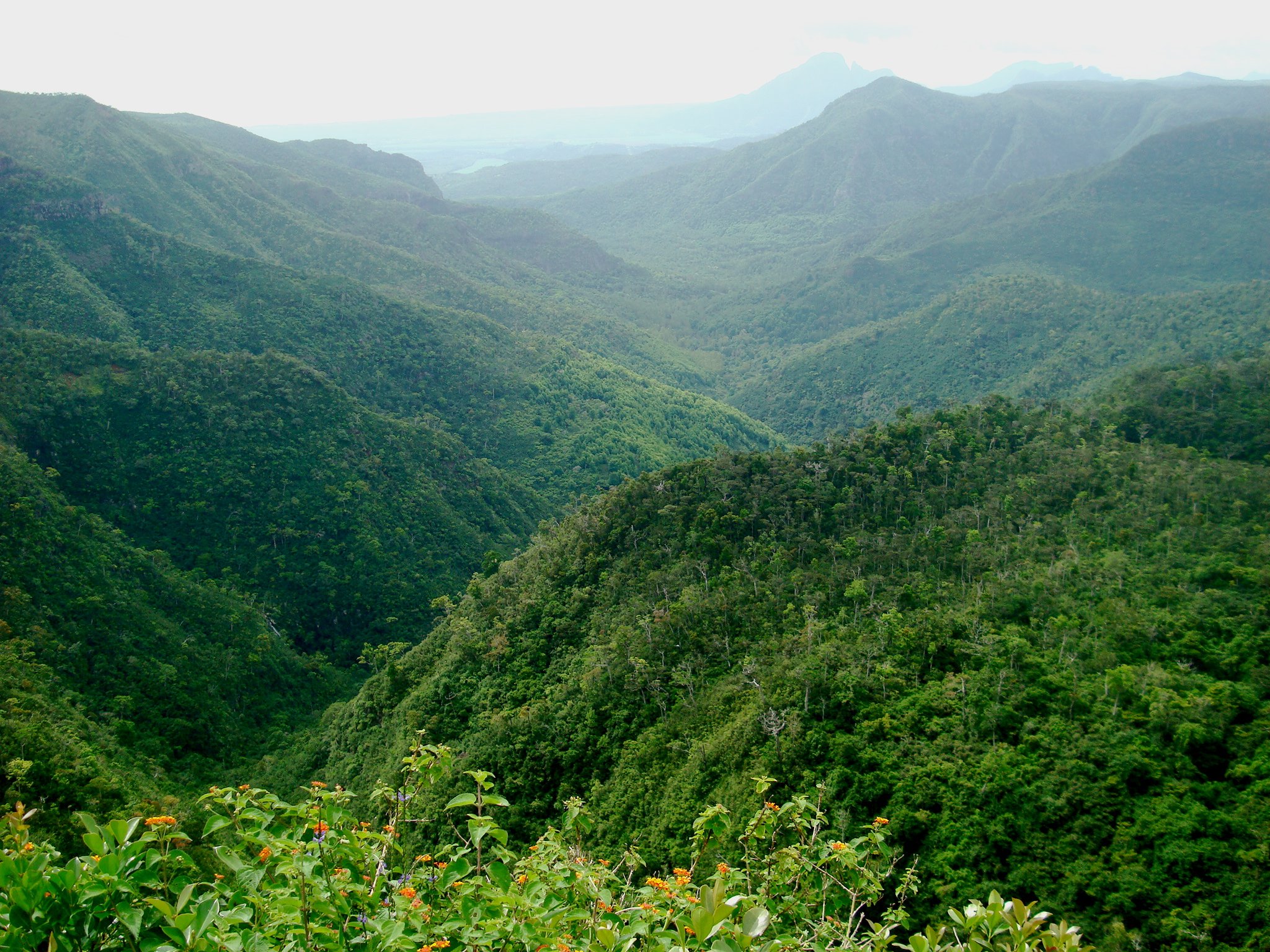 Black River Gorges National Park, Mauritius’s largest protected forest and a key biodiversity hotspot, showcasing lush valleys and waterfalls.
