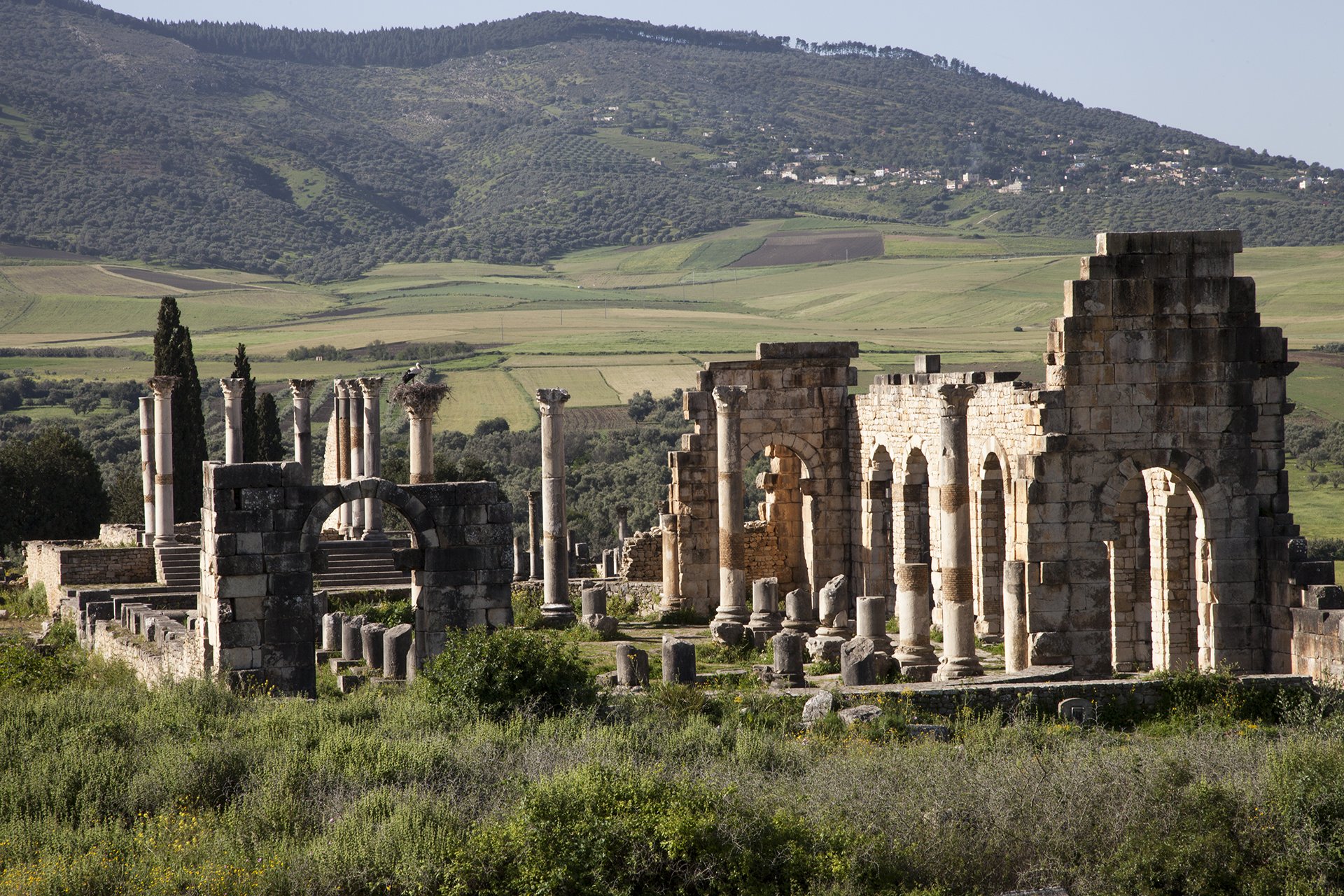 The ancient Roman ruins of Volubilis near Meknes, a UNESCO World Heritage site and one of Morocco’s most significant archaeological landmarks.