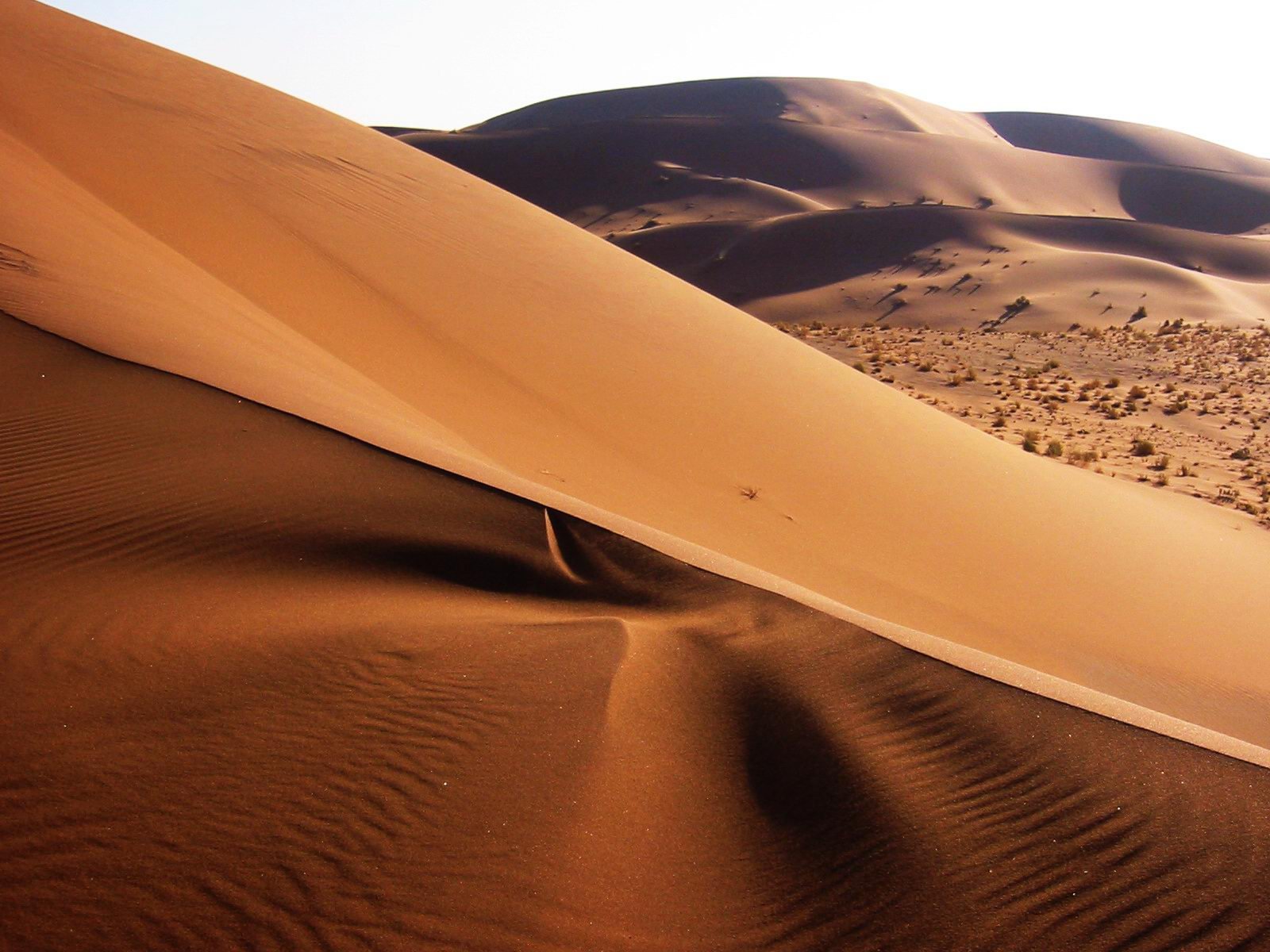 Dunes of the Namib Desert in Namib-Naukluft National Park, an iconic landscape of Namibia and one of the world’s oldest deserts.