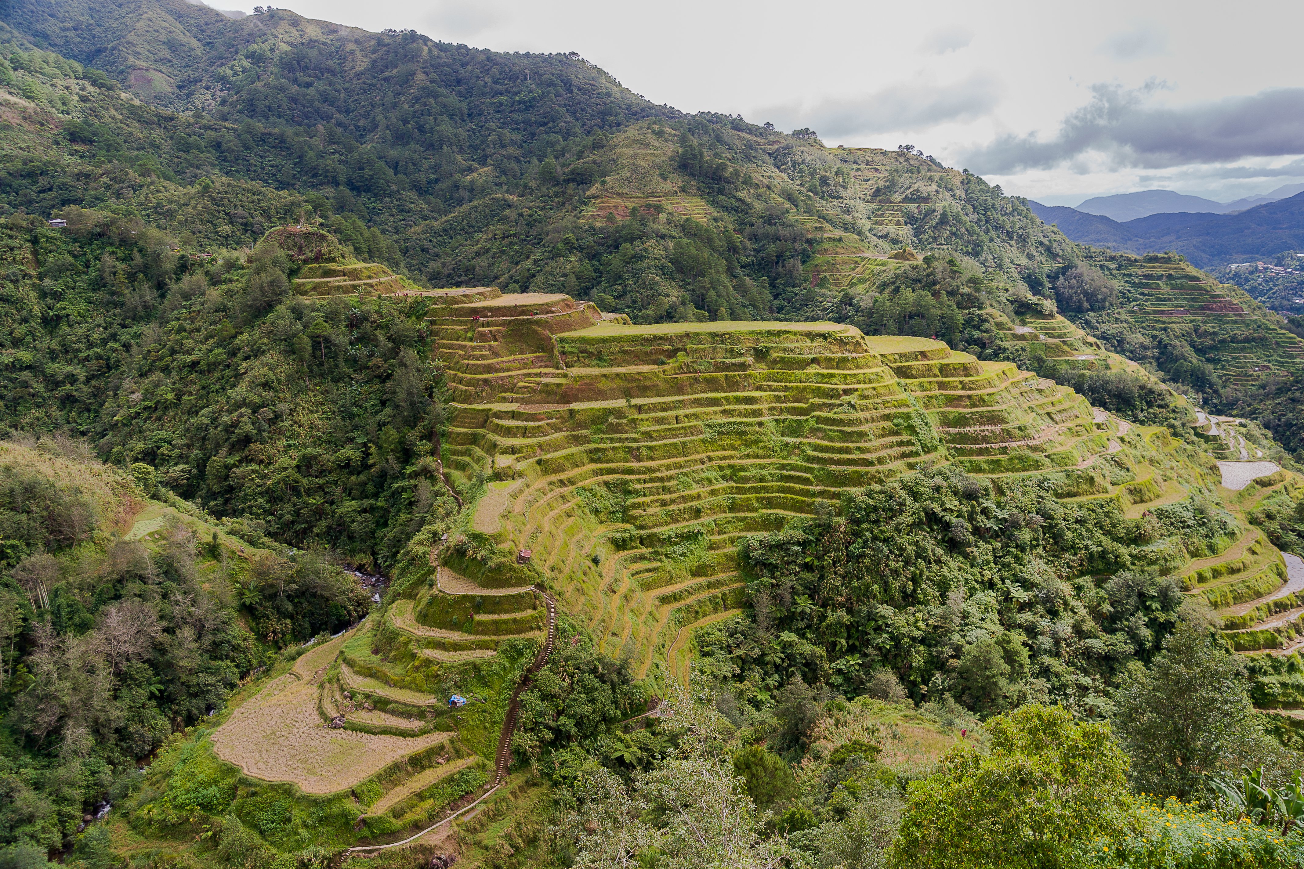 The Banaue Rice Terraces in Ifugao, a UNESCO-listed cultural landscape carved into the mountains by the Ifugao people.