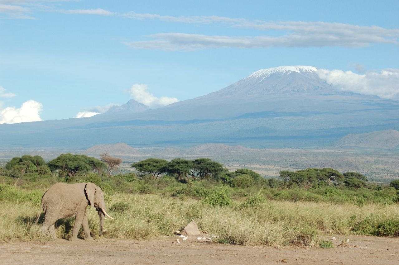 Mount Kilimanjaro, Africa’s highest peak, viewed from Amboseli with an elephant in the foreground—an iconic symbol of Tanzania’s natural heritage.